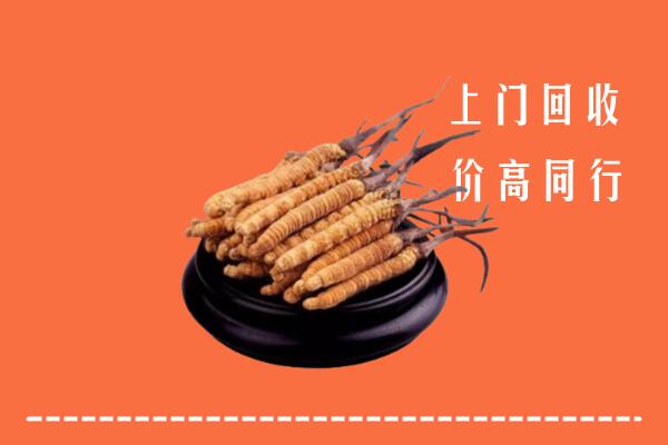 高价求购：北海回收散虫草