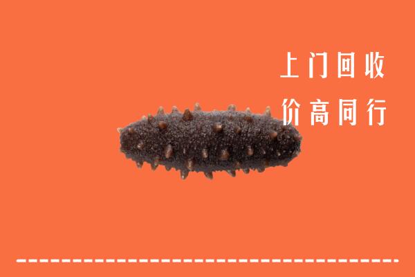 高价求购：北海回收海参